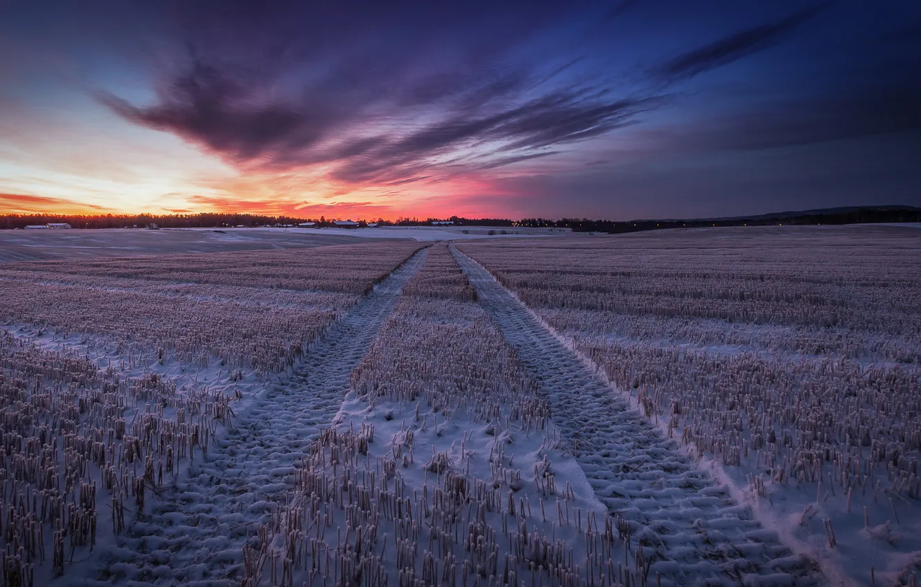 Фото обои зима, поле, ночь