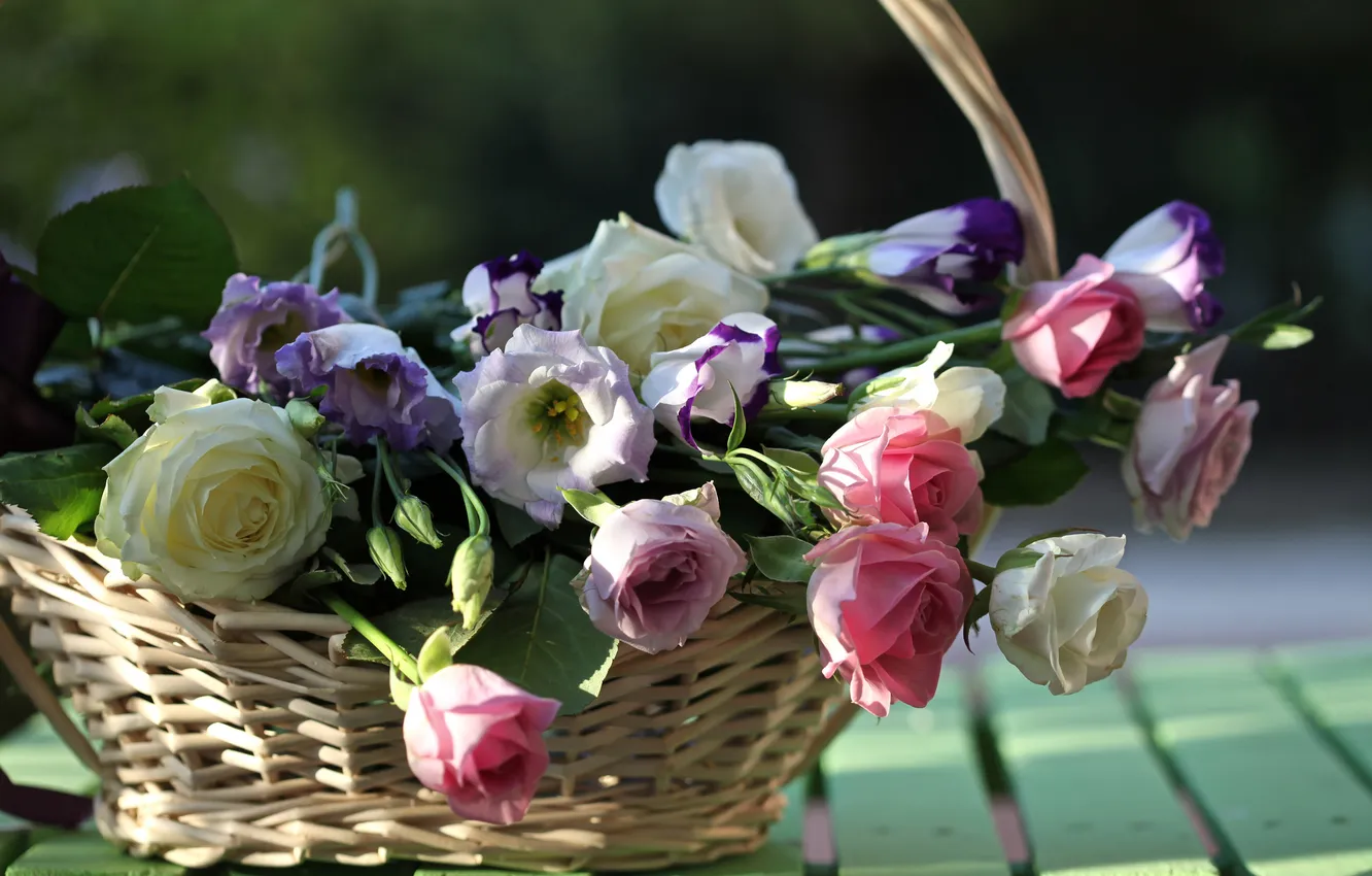 Фото обои доски, розы, корзинка, бутоны, эустома, © Elena Di Guardo
