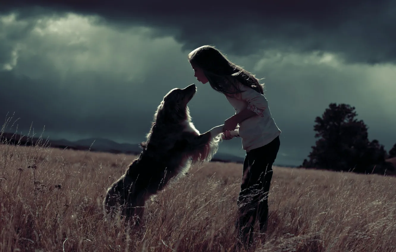 Фото обои поле, радость, собака, девочка