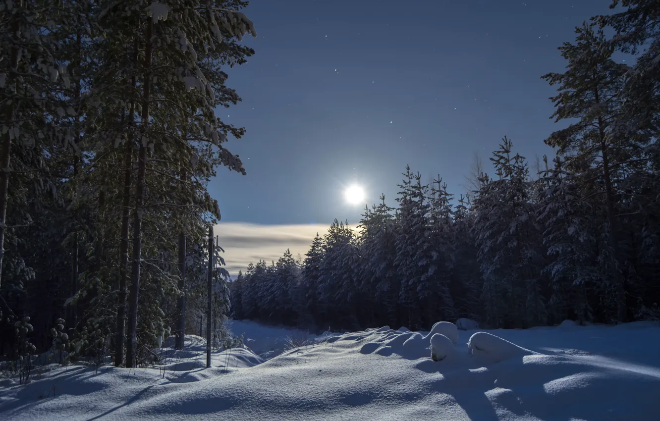 Фото обои зима, лес, небо, снег, деревья, ели, сугробы, Финляндия