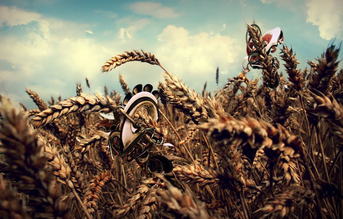 Фото обои пшеница, поле, облака, обработка
