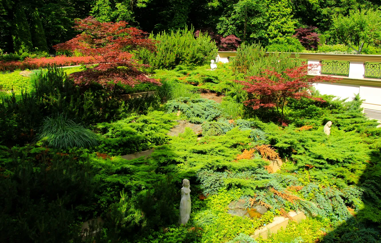 Фото обои park, garden, plants