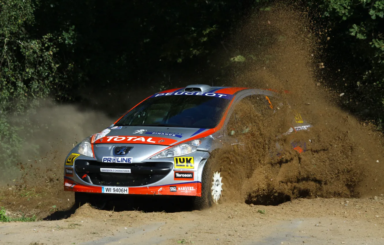 Фото обои rally, WRC, peugeot