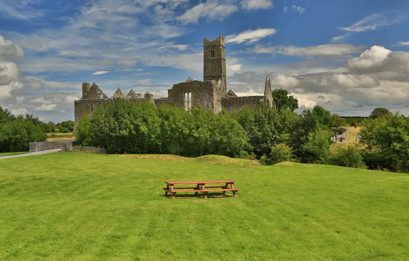 Фото обои стол, развалины, Ирландия, скамейки, лужайка, Квин аббатство, трава.зелень