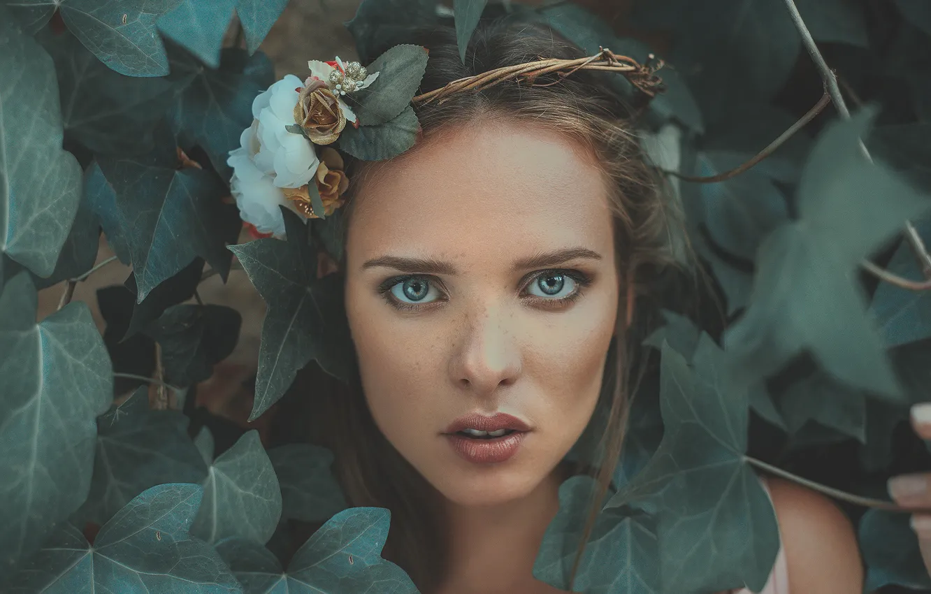 Фото обои взгляд, листья, цветы, лицо, венок, Marharyta