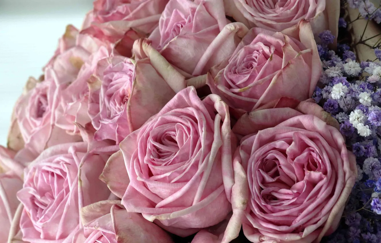 Фото обои розы, букет, розовые, бутоны