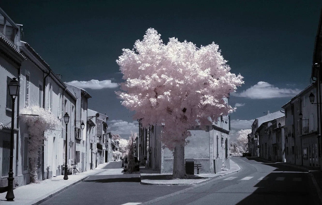 Фото обои дерево, Франция, дома, перекресток, Прованс, инфракрасный снимок, Шарлеваль