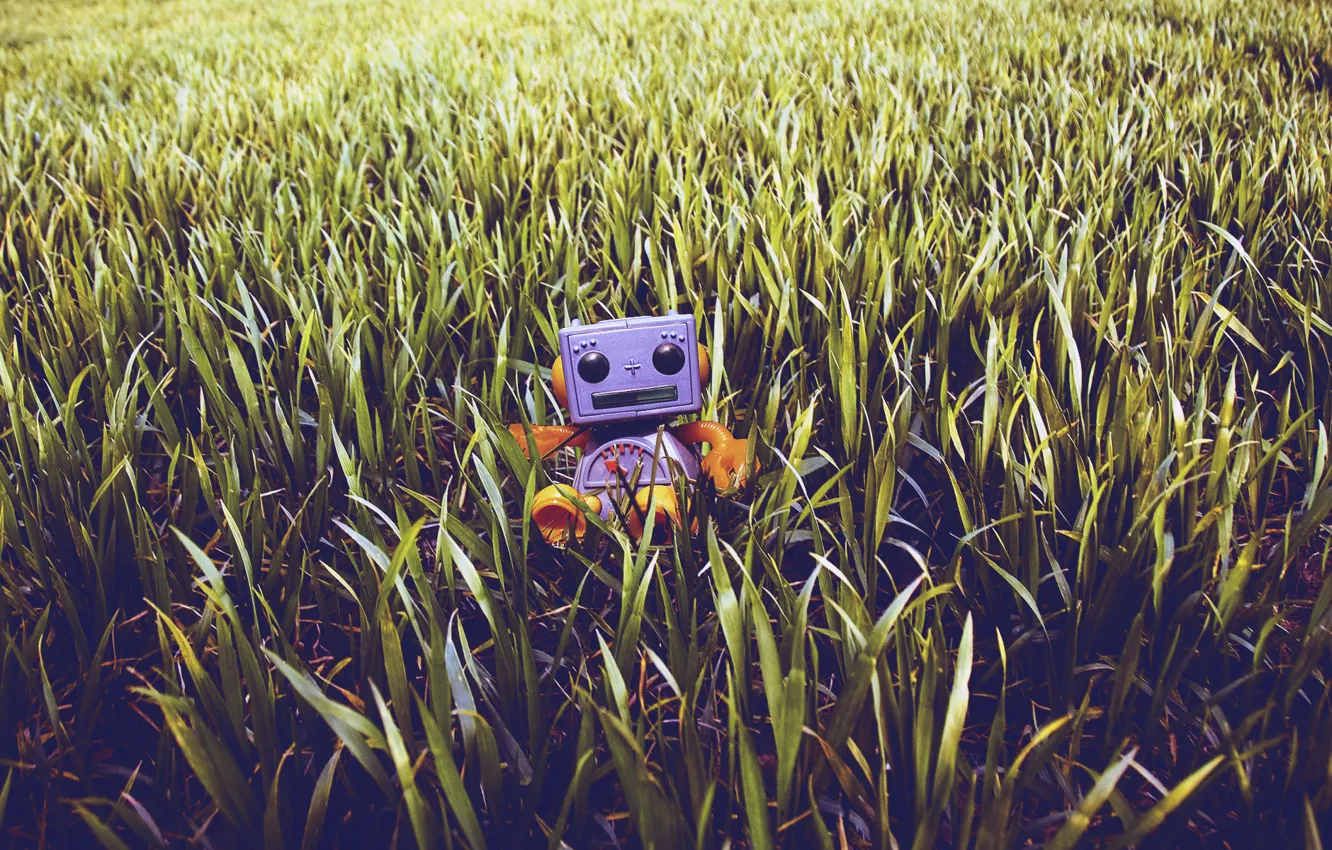 Фото обои газон, робот, Трава, игрушечный