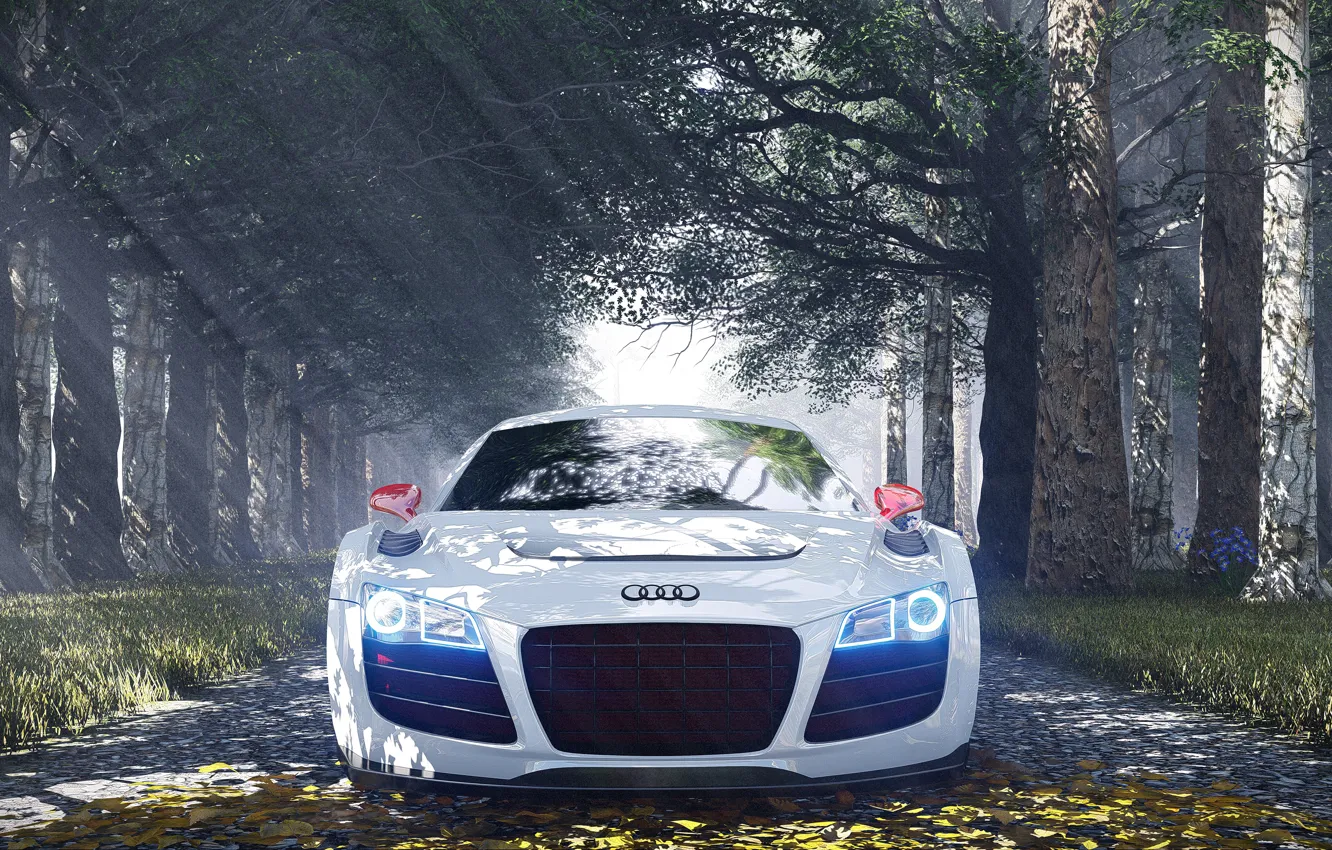 Фото обои Audi, Audi R8, Special Edition