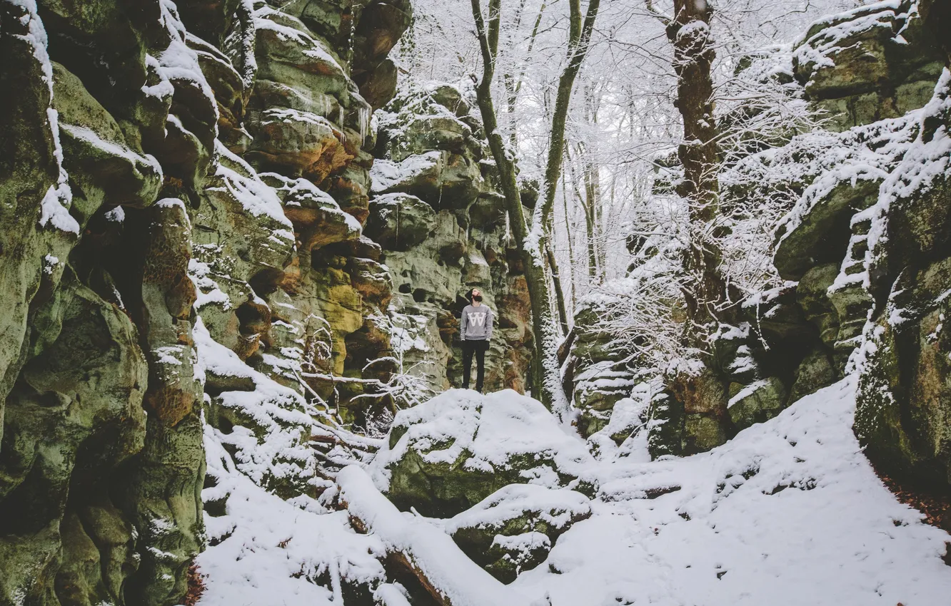 Фото обои зима, снег, деревья, ветки, скала, камень, мужчина