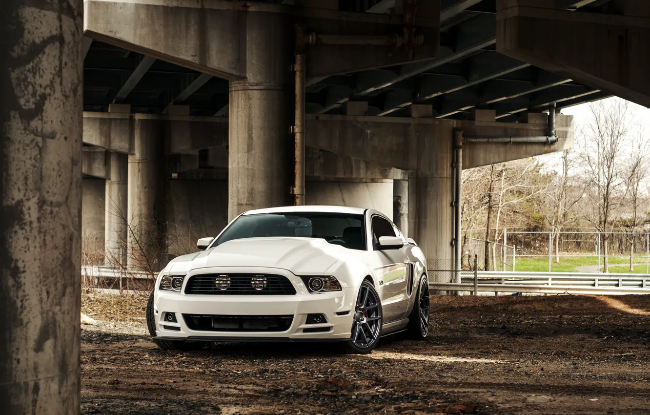 Фото обои Mustang, Ford, Форд, Muscle, Мустанг, white, Car, 5.0, front
