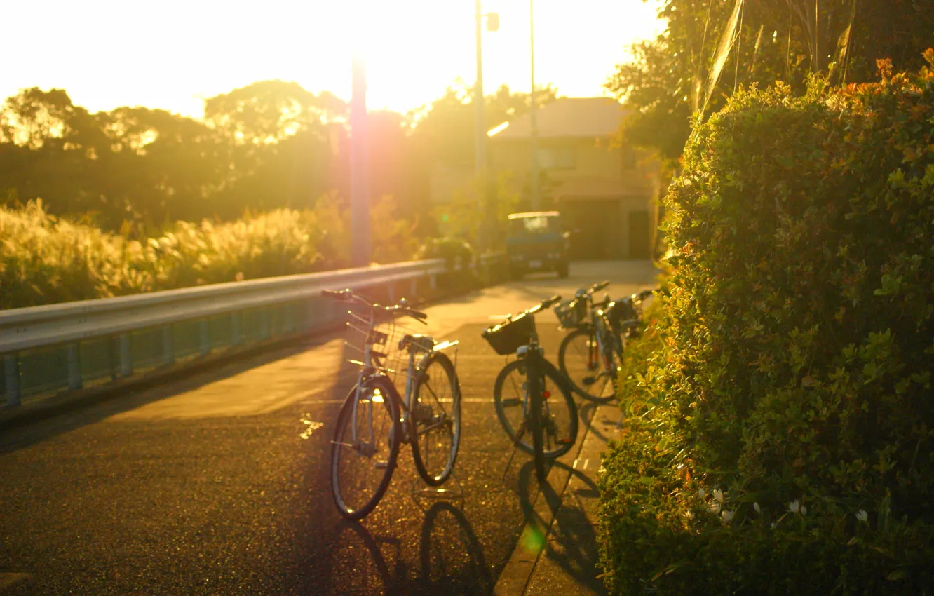 Фото обои дорога, машина, листья, солнце, деревья, велосипед, город, фон