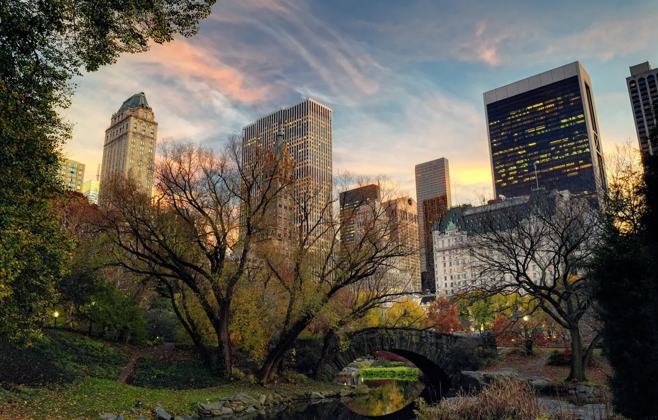 Фото обои деревья, мост, природа, город, река, здания, дома, Нью-Йорк
