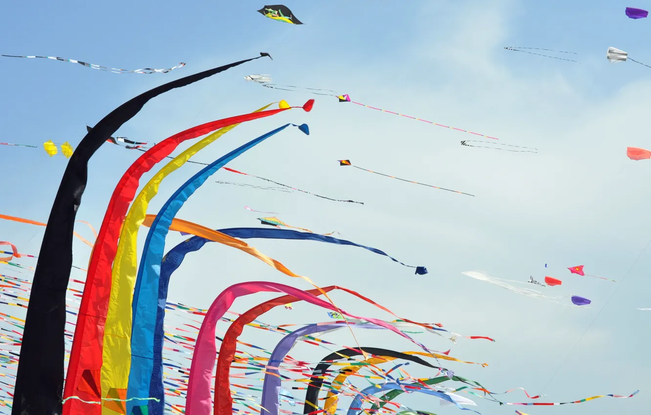 Фото обои festival, aquiloni, kites, colori