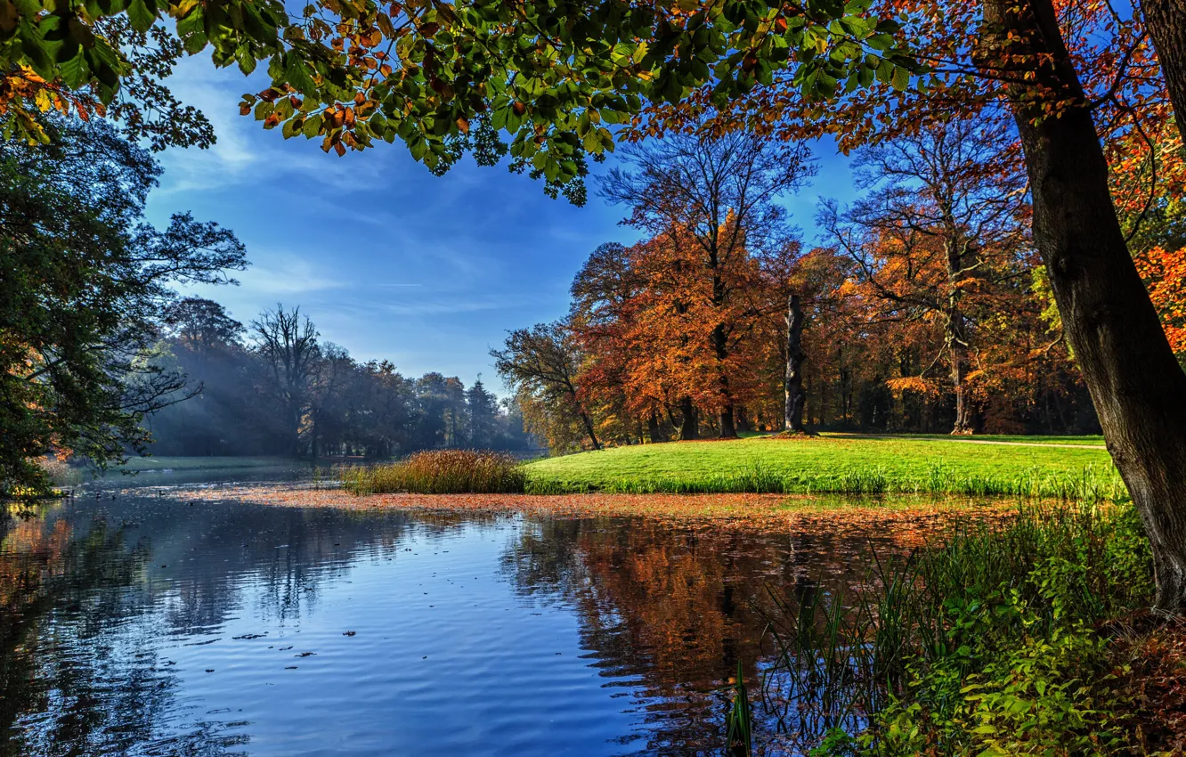 Фото обои Природа, Осень, Деревья, Река, Пейзаж, Нидерланды, Utrecht, Darthuizen