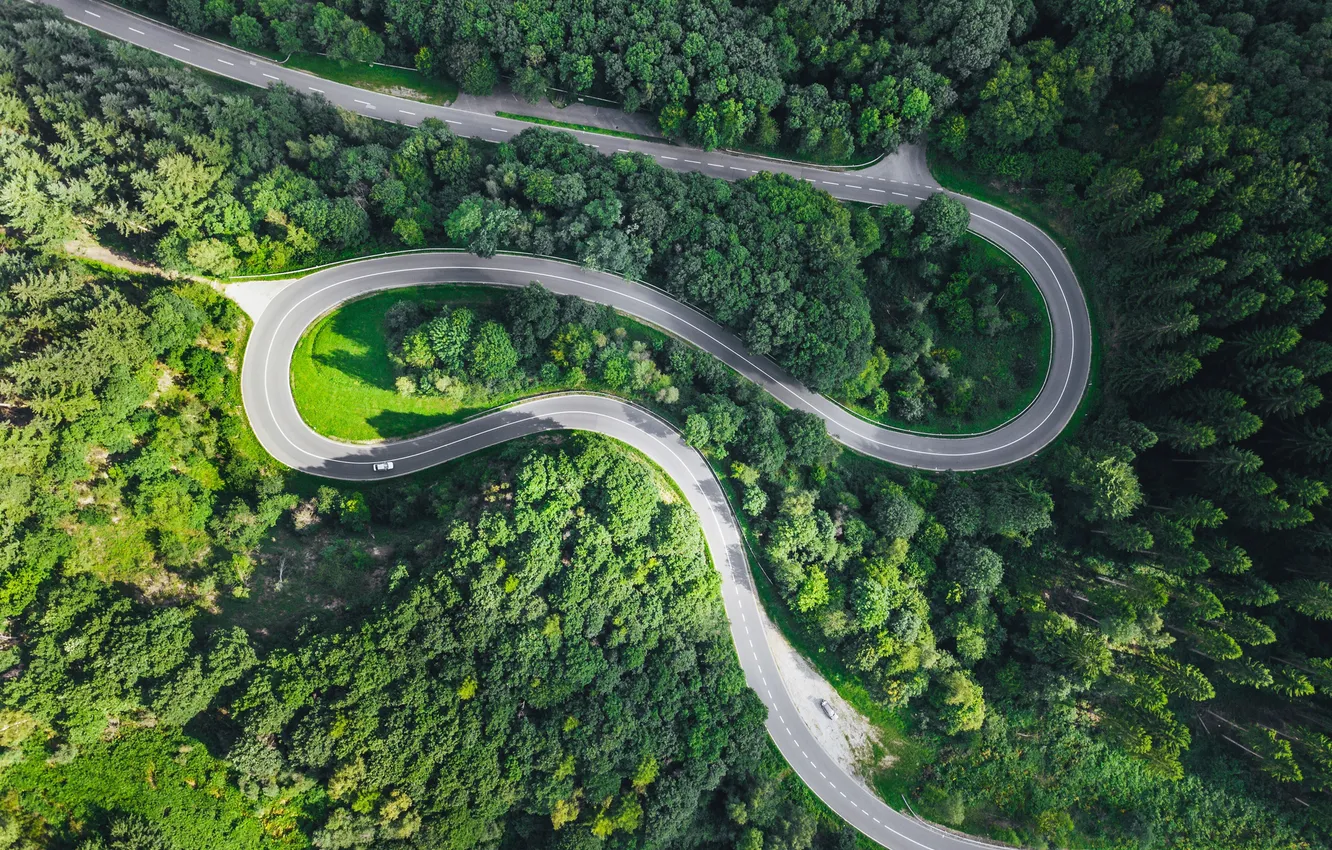 Фото обои forest, road, curves, motor vehicle, civil engineering