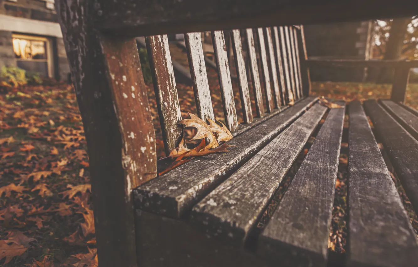 Фото обои осень, листья, скамейка