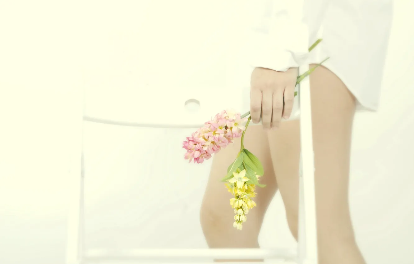 Фото обои девушка, цветы, ноги, стул