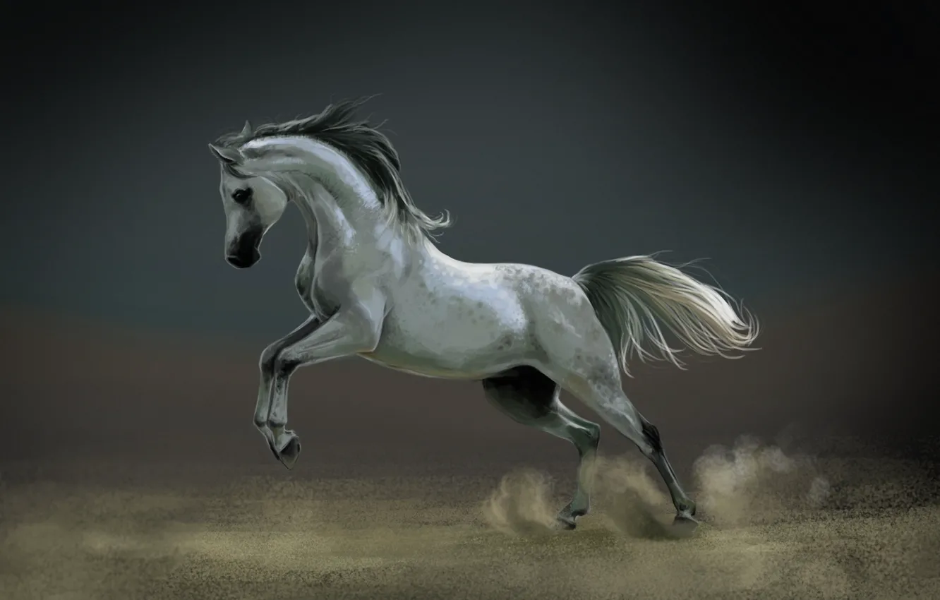Фото обои конь, лошадь, пыль, арт, белая