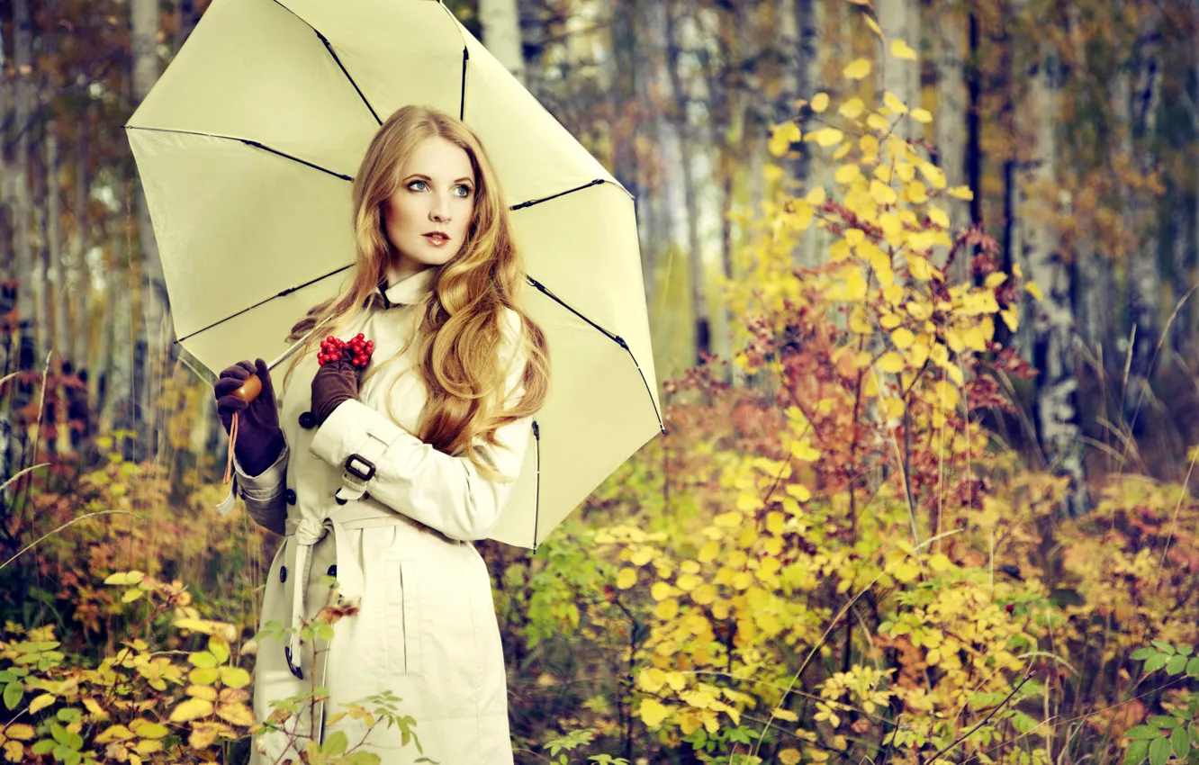 Фото обои девушка, парк, настроение, зонт, размытость, красивая, свидание, рябина