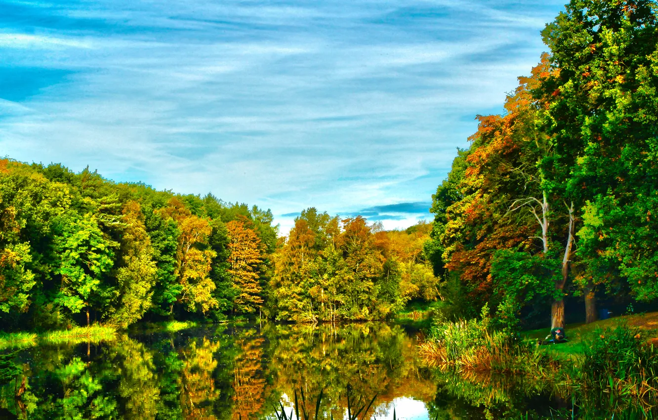 Фото обои осень, лес, небо, деревья, озеро, река