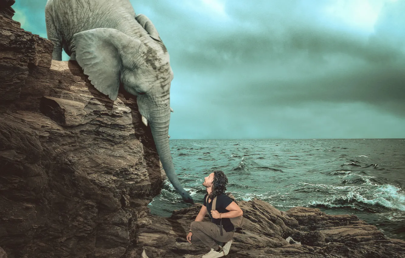 Фото обои море, человек, слон