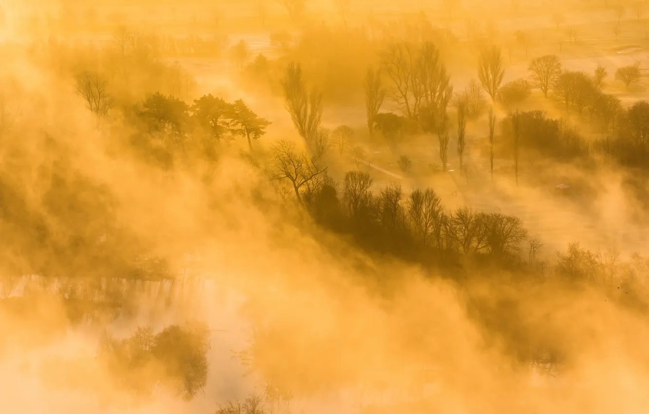 Фото обои деревья, пейзаж, туман, река