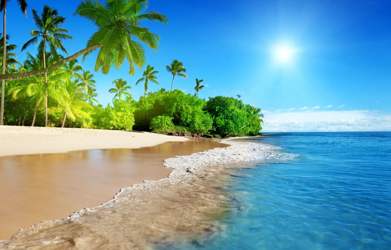 Фото обои солнце, тропики, пальмы, океан, волна