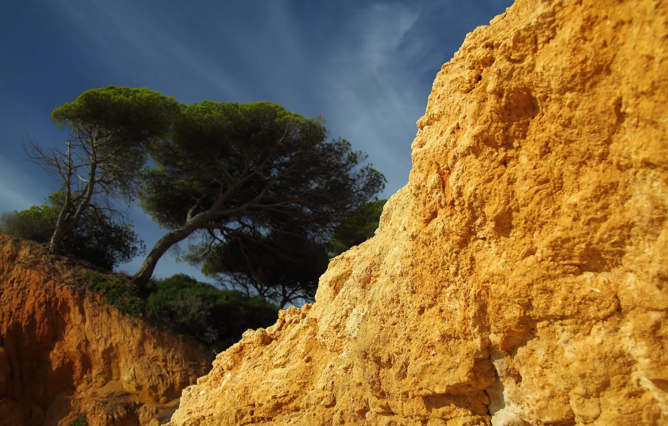 Фото обои небо, обрыв, дерево, скалы, песчанник