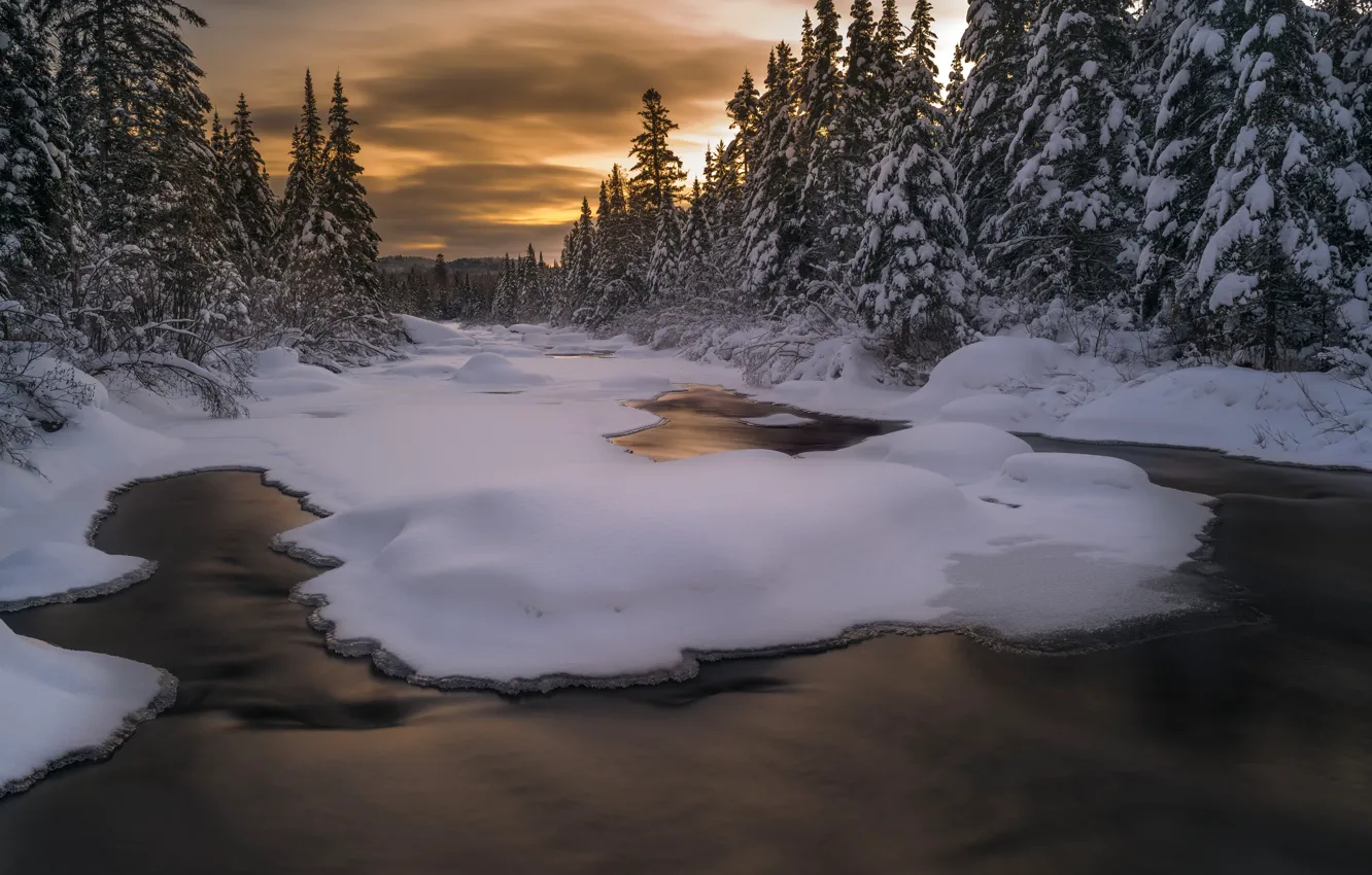 Фото обои зима, иней, лес, вода, облака, снег, пейзаж, закат