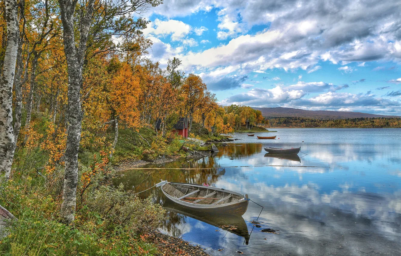 Фото обои осень, деревья, река, лодка, домик