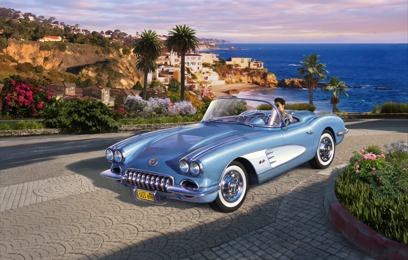 Фото обои Roadster, Corvette, Водитель, автомобиль, двухместный, 1958