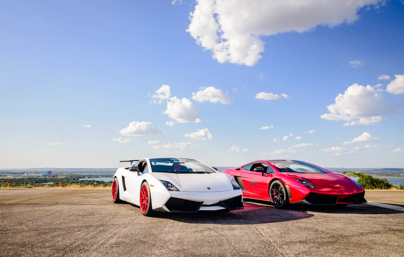 Фото обои Red, Gallardo, White