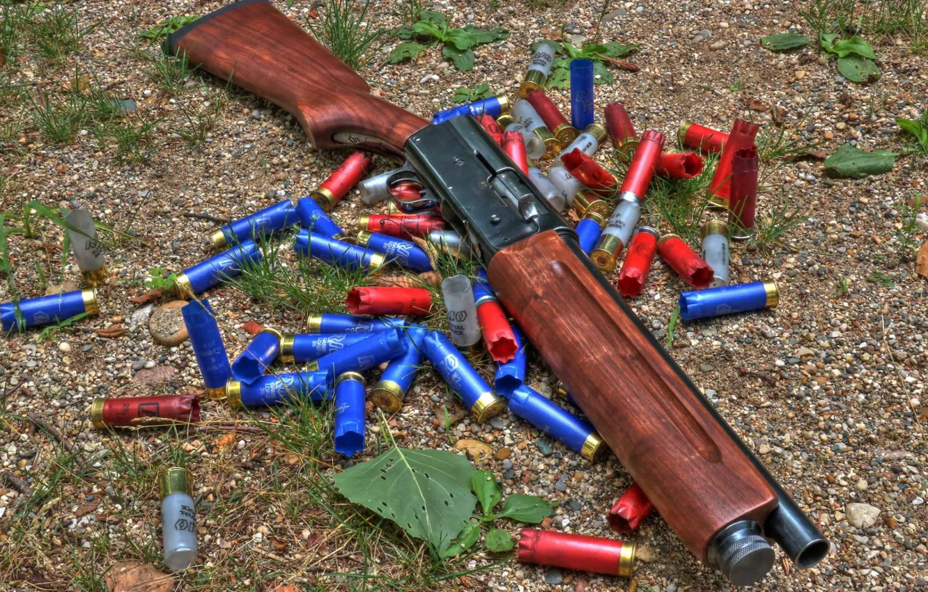 Фото обои оружие, weapon, shotgun, Дробовик, Remington, Ремингтон, Model 11, Обрез