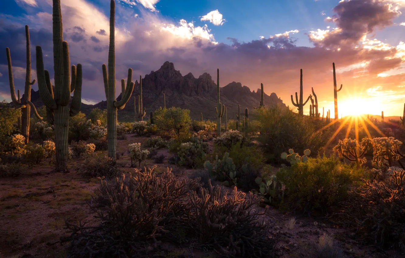 Фото обои солнце, лучи, пейзаж, закат, горы, природа, пустыня, Аризона