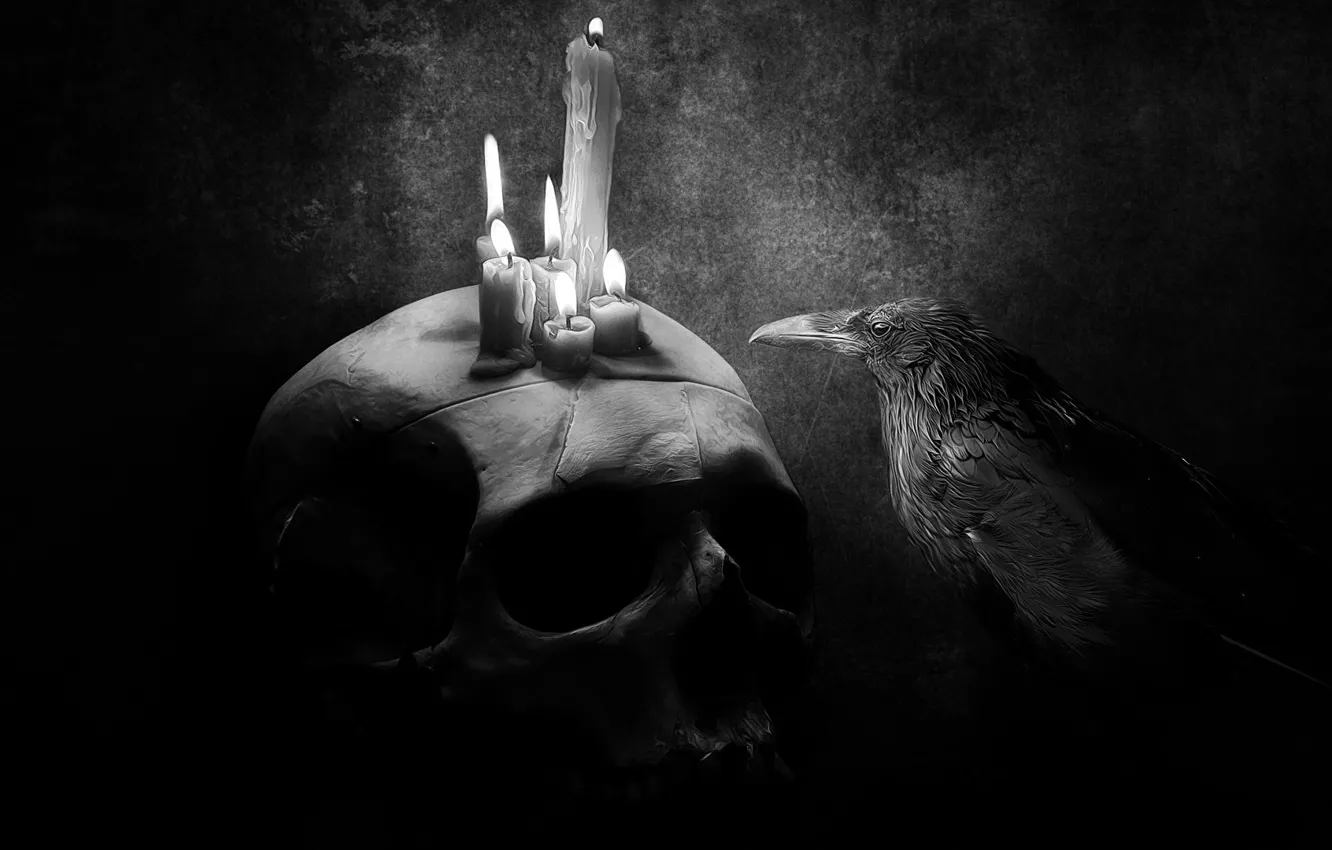 Фото обои фон, череп, свечи, Ворон, черно-белое