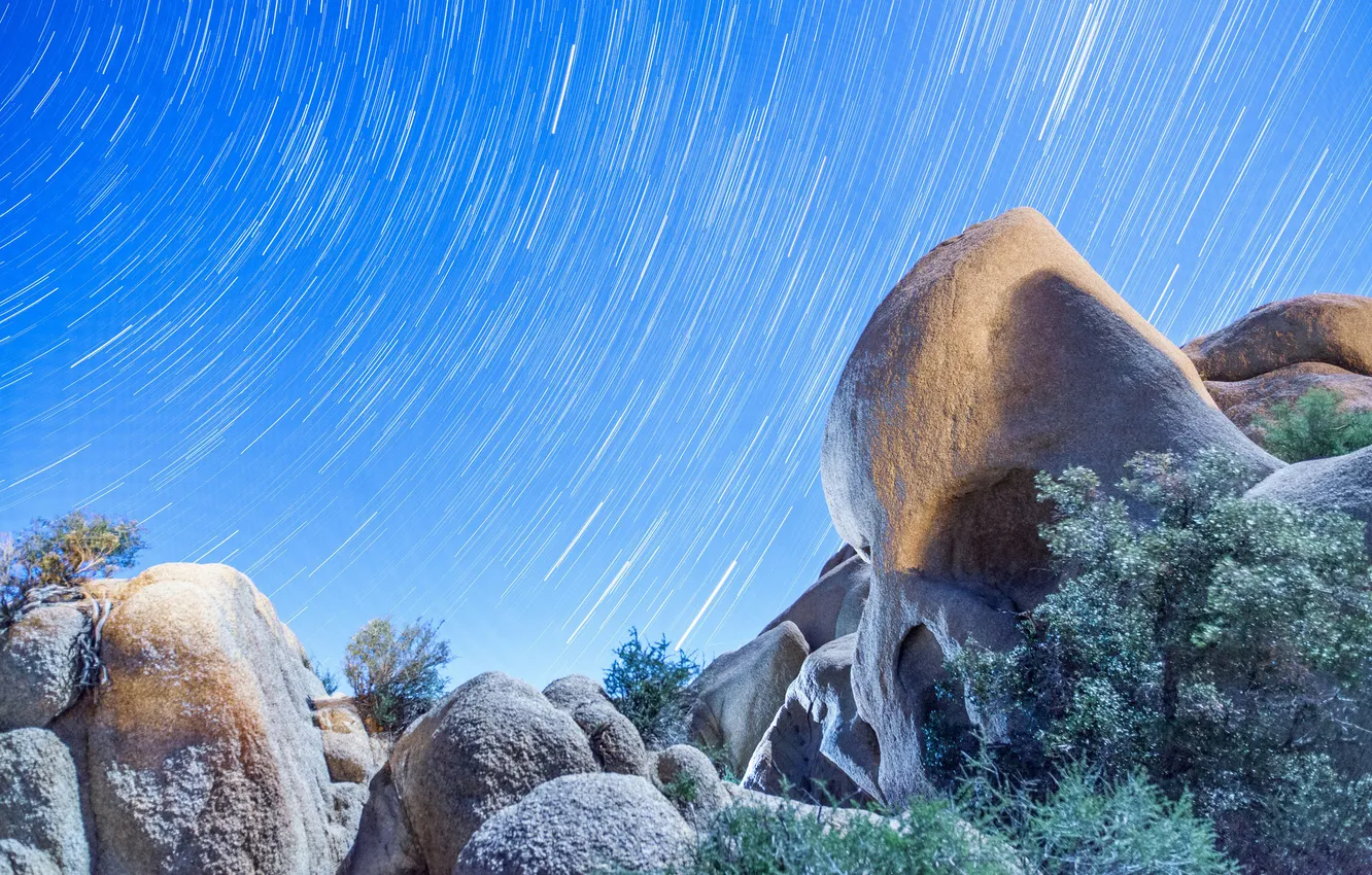 Фото обои небо, природа, камни, Joshua Tree, national park, Skull-Rock