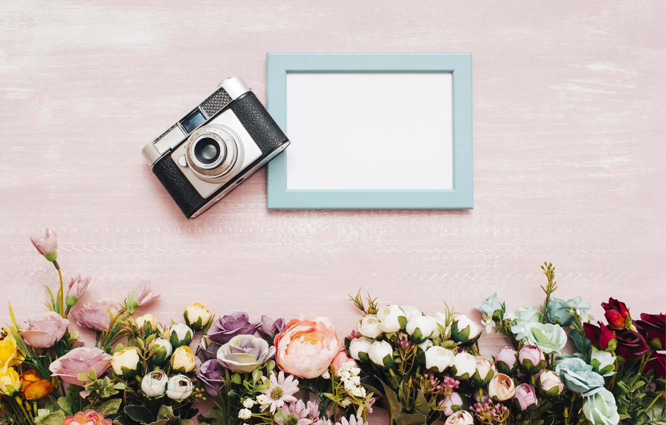 Фото обои цветы, фон, рамка, Фотоаппарат