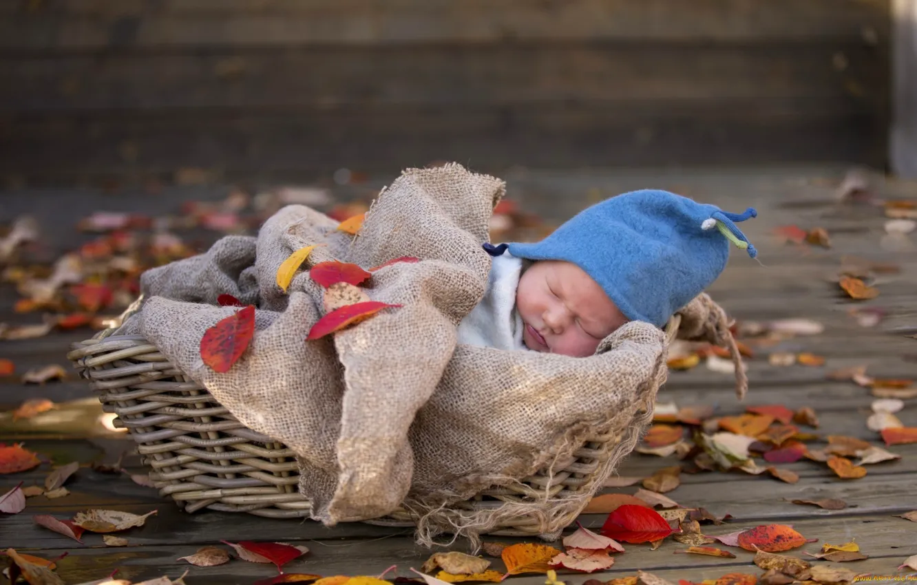 Фото обои корзина, ребенок, сон, новорожденный