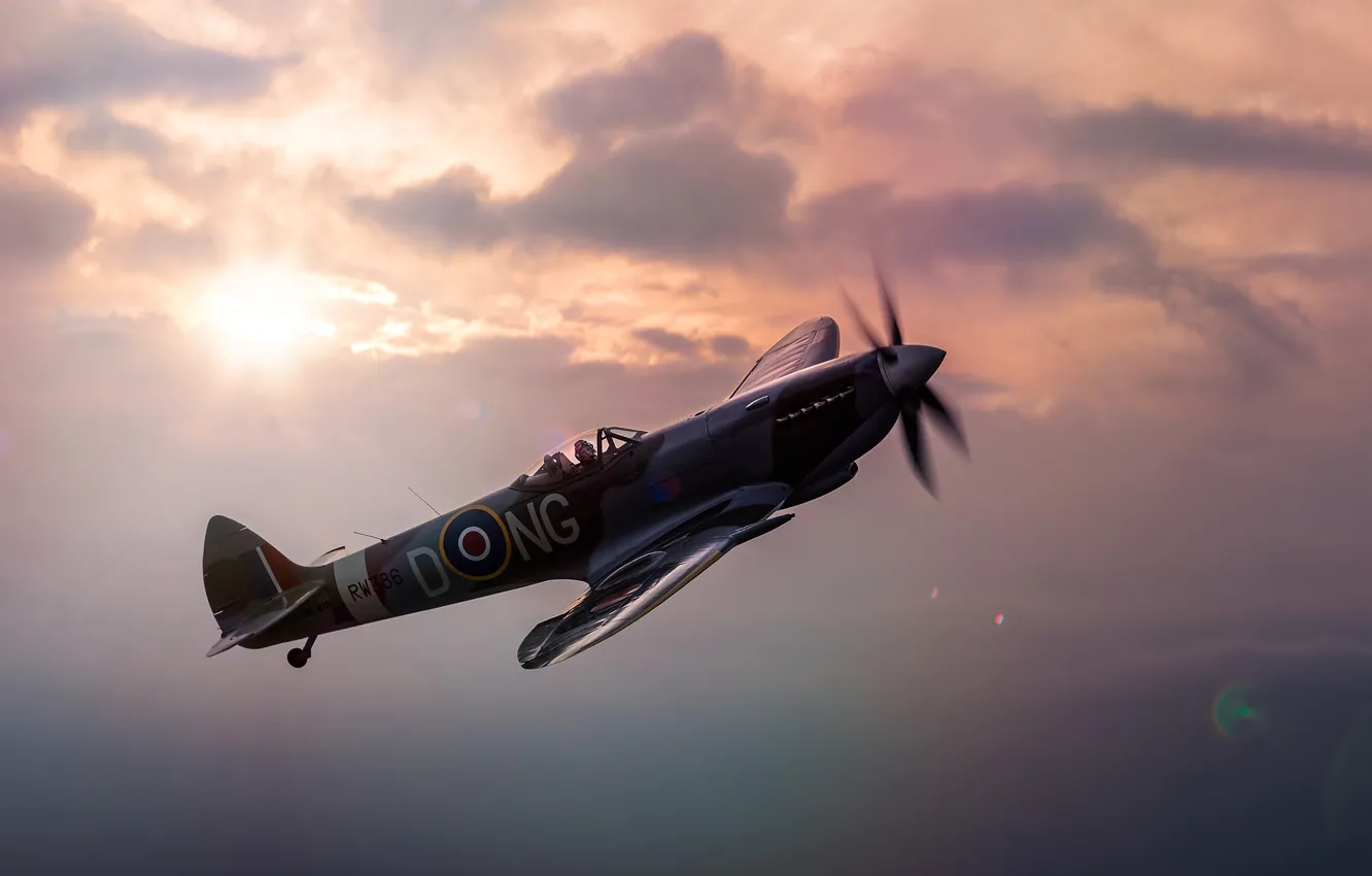 Фото обои истребитель, разведчик, Supermarine Spitfire, перехватчик, LF Mk