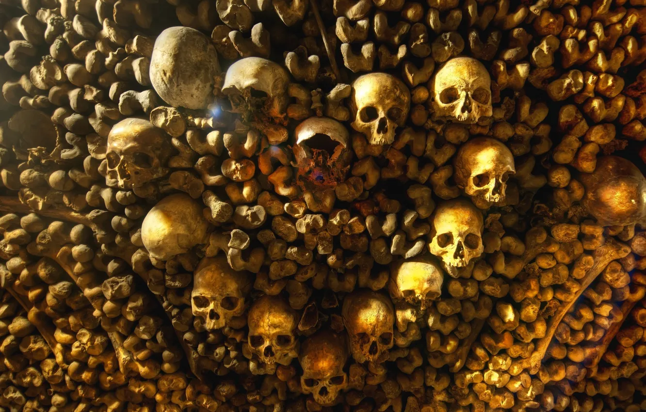 Фото обои смерть, обои, Франция, кости, черепа, wallpaper, ужас, страшно