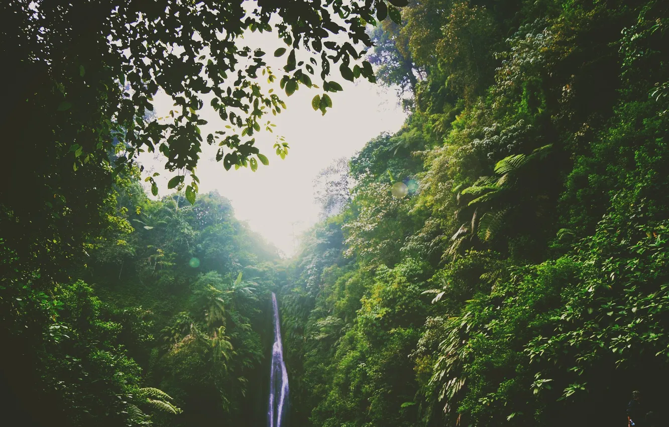 Фото обои зелень, холмы, водопад