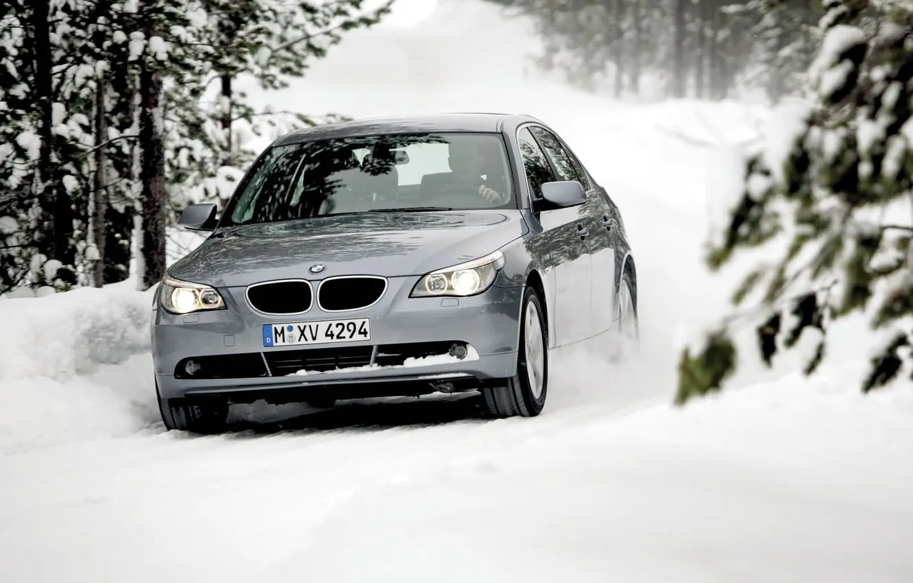Фото обои Зима, Деревья, Лес, BMW