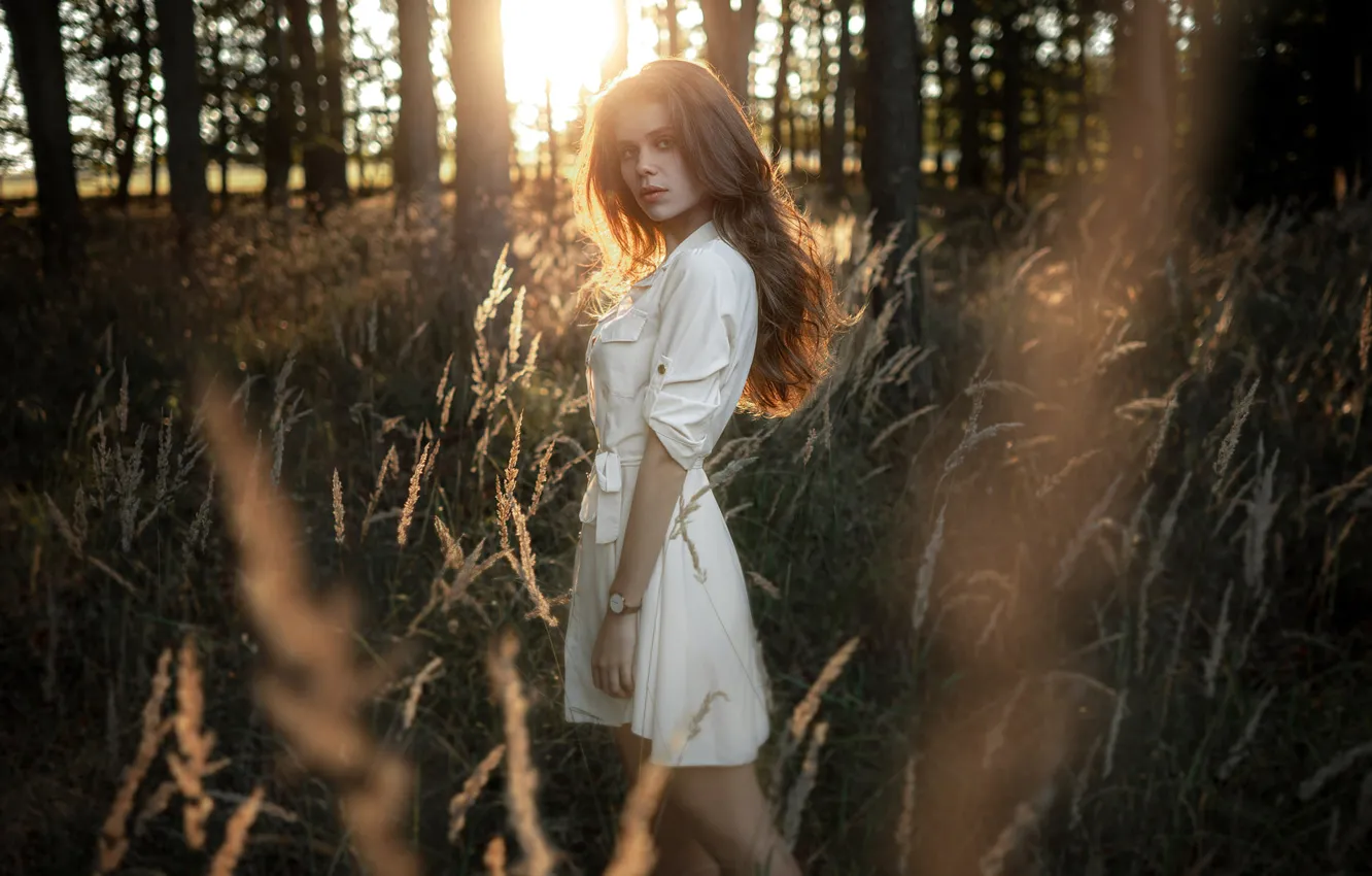 Фото обои взгляд, девушка, природа, длинные волосы, в лесу, Jiří Tulach