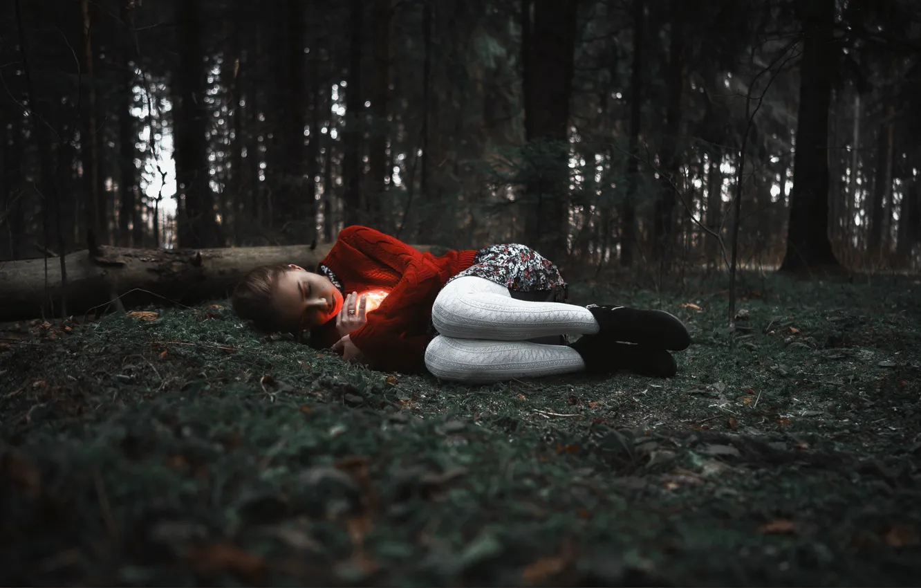 Фото обои лес, девушка, свечение, ножки, Сергей Кузичев, Анастасия Суханова