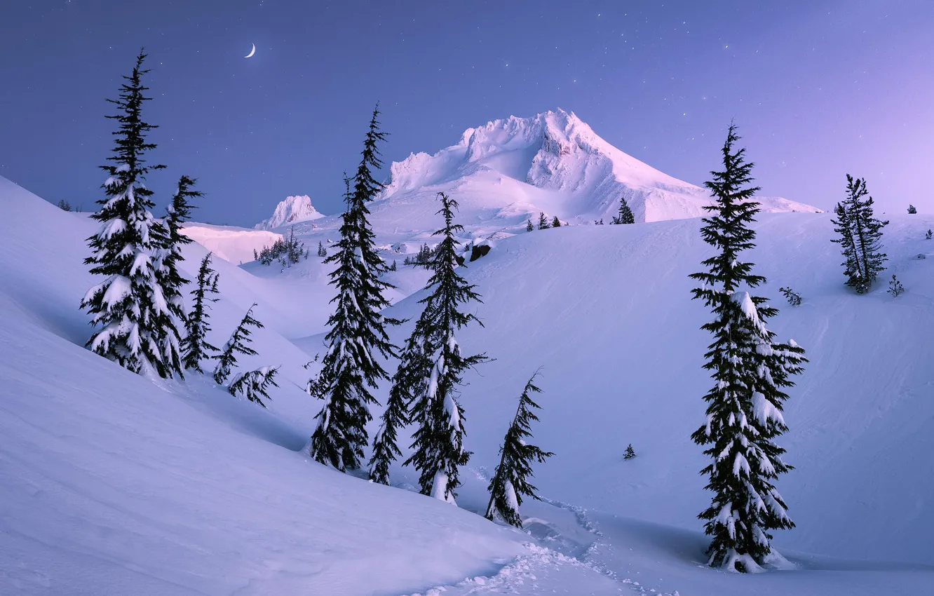 Фото обои winter, mountain, snow