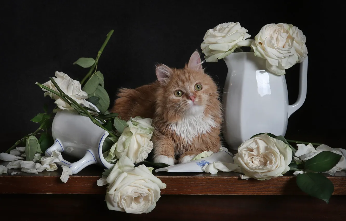 Фото обои кошка, кот, взгляд, цветы, котенок, стол, розы, букет