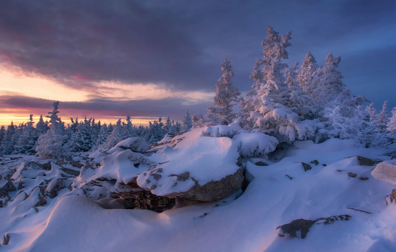 Фото обои зима, снег, деревья, Россия, Южный Урал, Челябинская область, Татьяна Бирюкова, Хребет Зюраткуль
