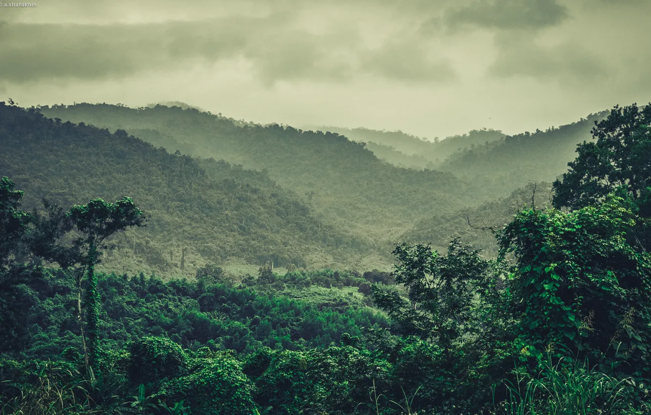 Фото обои зелень, лес, горы, природа, туман, парк, отдых, вьетнам