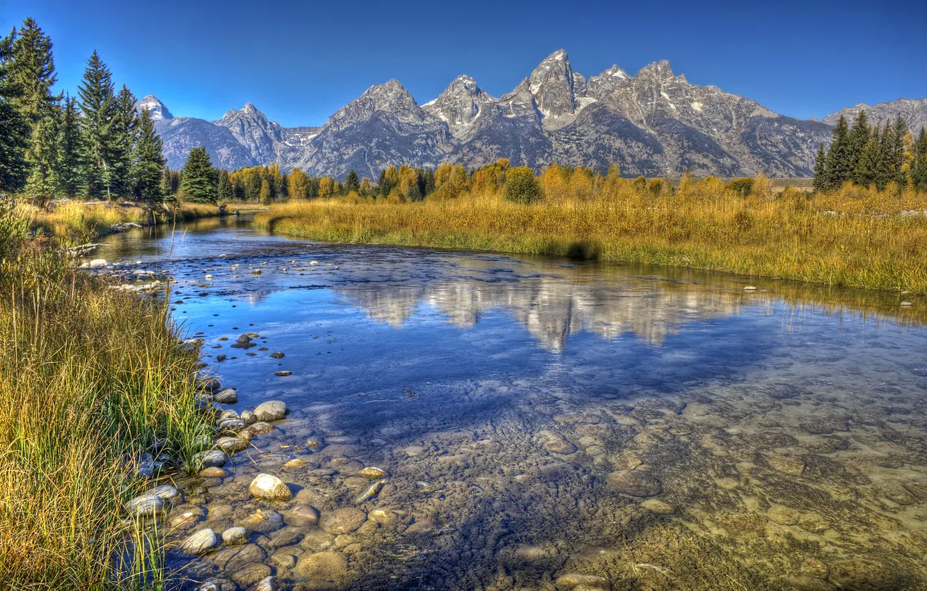 Фото обои осень, трава, деревья, горы, ручей, камни, дно, США